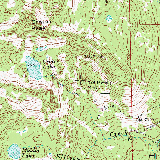 Topographic Map of Red Metals Mine, ID