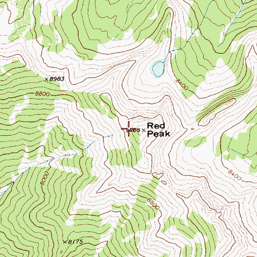 Topographic Map of Red Peak, ID