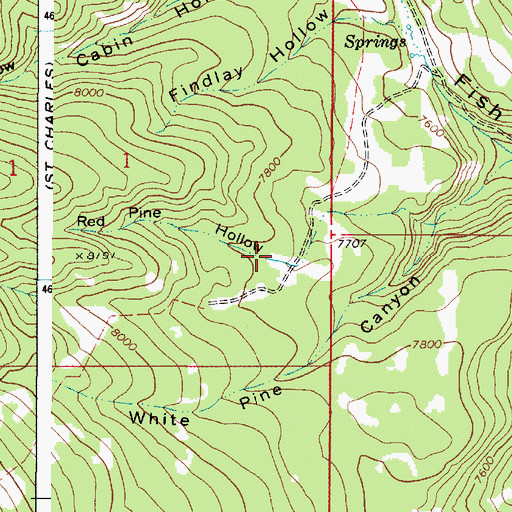 Topographic Map of Red Pine Hollow, ID