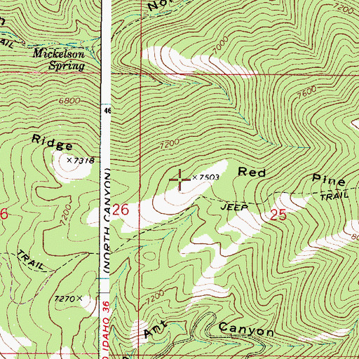 Topographic Map of Red Pine Ridge, ID