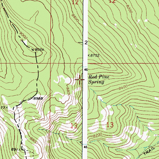 Topographic Map of Red Pine Spring, ID