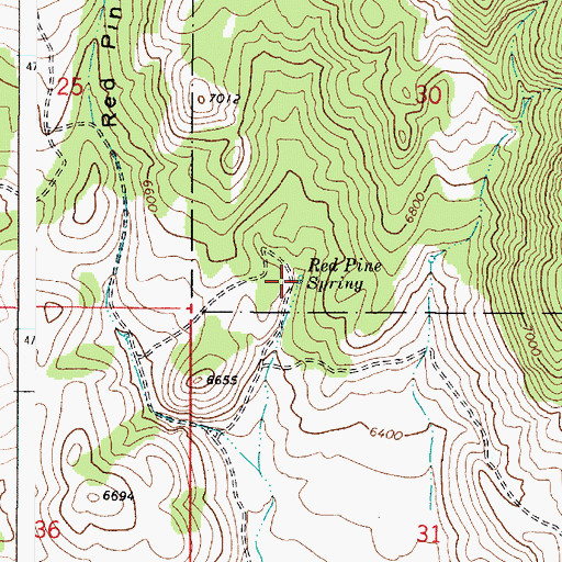 Topographic Map of Red Pine Spring, ID