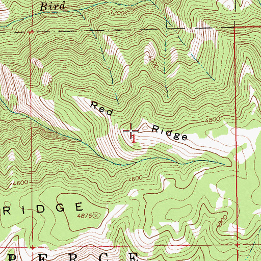 Topographic Map of Red Ridge, ID