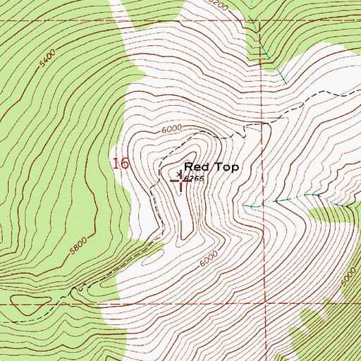 Topographic Map of Red Top, ID