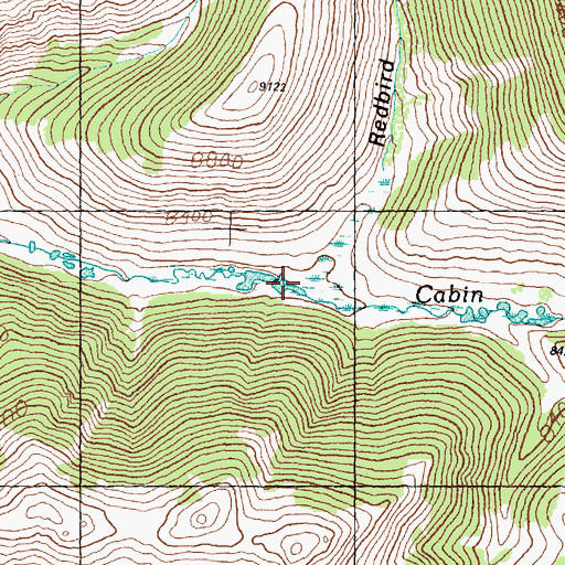 Topographic Map of Redbird Gulch, ID
