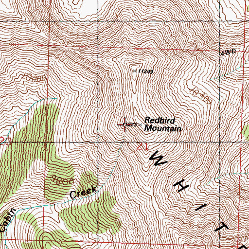 Topographic Map of Redbird Mountain, ID