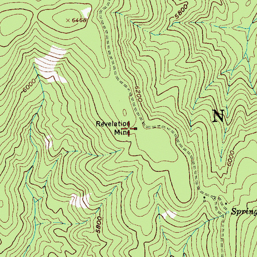 Topographic Map of Revelation Mine, ID