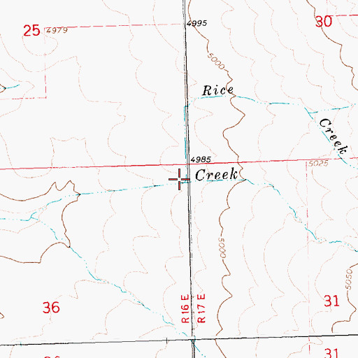 Topographic Map of Rice Creek, ID