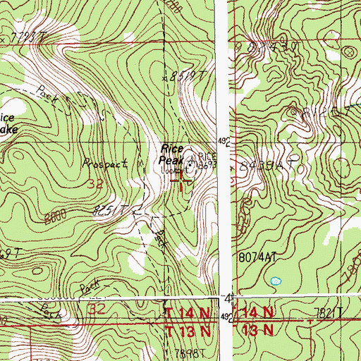 Topographic Map of Rice Peak, ID