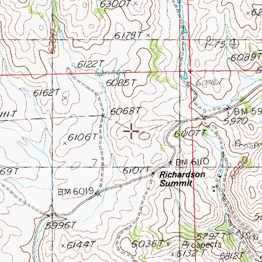 Topographic Map of Richardson Summit, ID