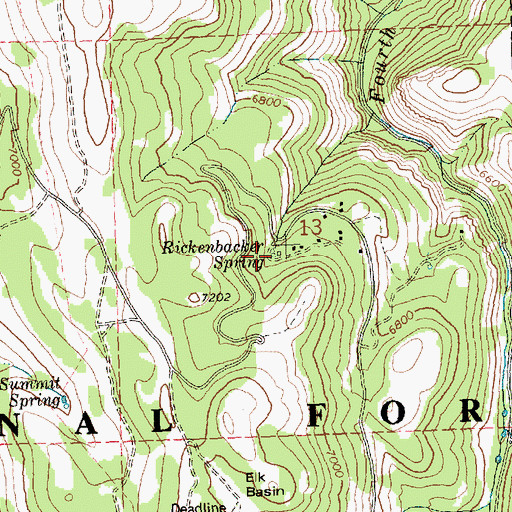 Topographic Map of Rickenbacker Spring, ID