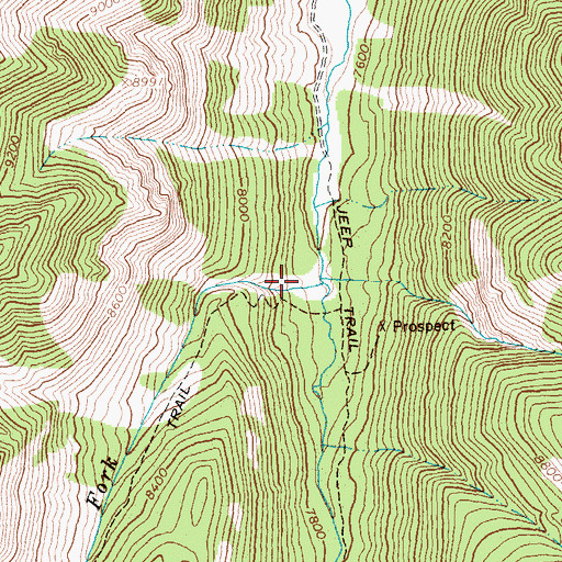 Topographic Map of Right Fork Kane Creek, ID