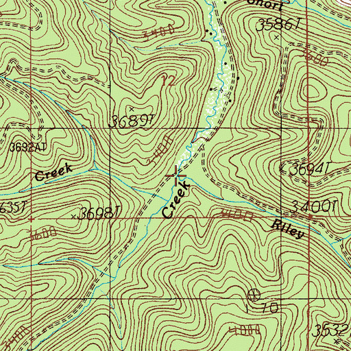 Topographic Map of Riley Creek, ID