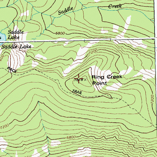 Topographic Map of Ring Creek Point, ID