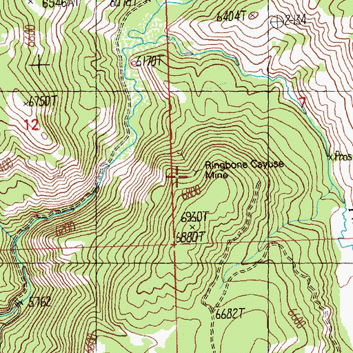Topographic Map of Ringbone Cayuse Mine, ID