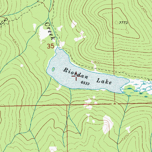Topographic Map of Riordan Lake, ID