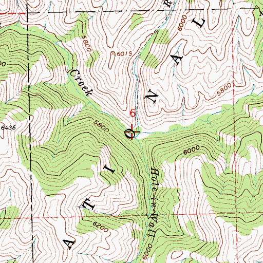 Topographic Map of Roanhide Creek, ID