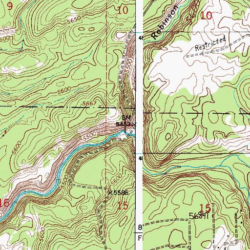 Topographic Map of Rock Creek, ID