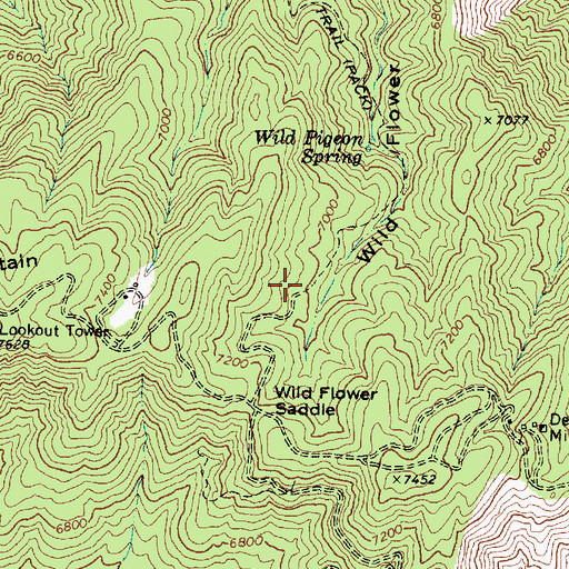Topographic Map of Wild Flower Mine, AZ