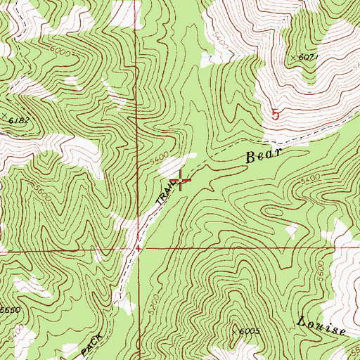 Topographic Map of Rockey Creek, ID