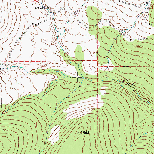 Topographic Map of Roman Nose Creek, ID