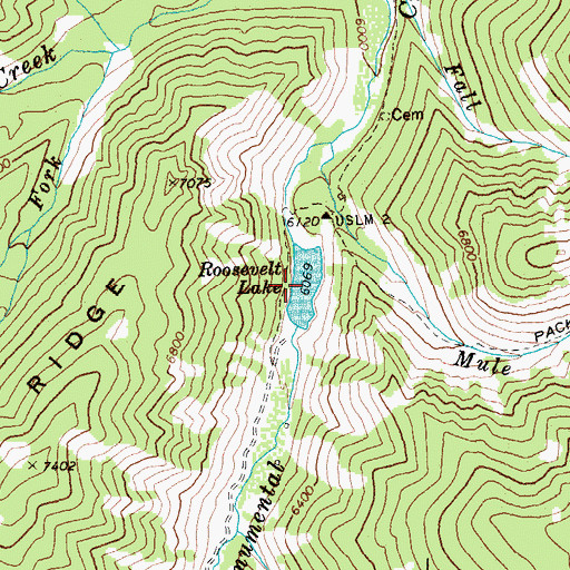 Topographic Map of Roosevelt Lake, ID