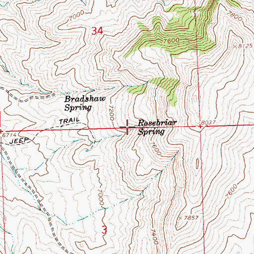 Topographic Map of Rosebrior Spring, ID