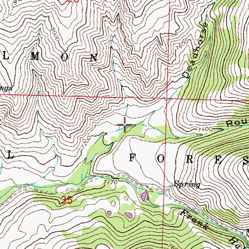 Topographic Map of Rough Canyon, ID