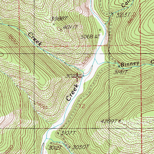 Topographic Map of Rover Creek, ID