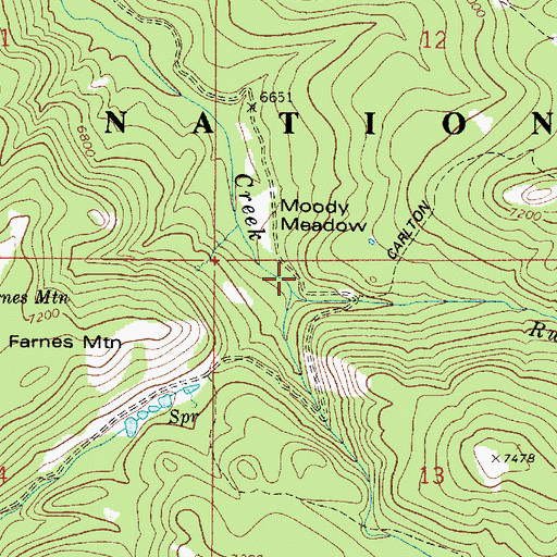 Topographic Map of Ruby Creek, ID