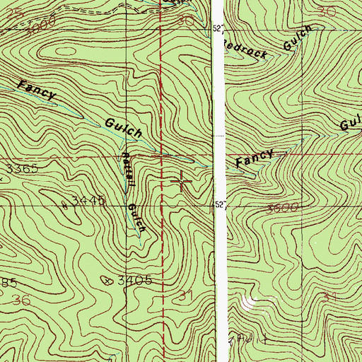 Topographic Map of Ruby Gulch, ID