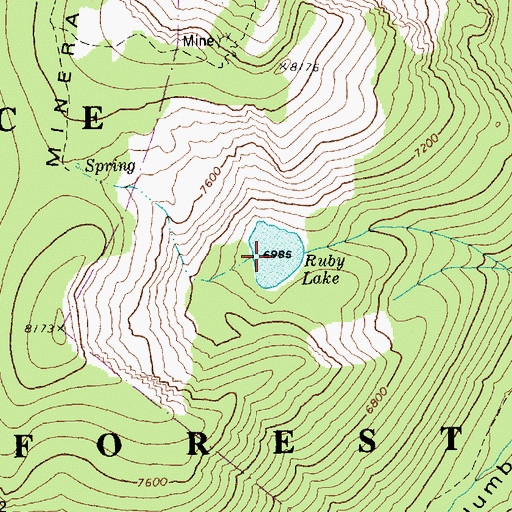 Topographic Map of Ruby Lake, ID