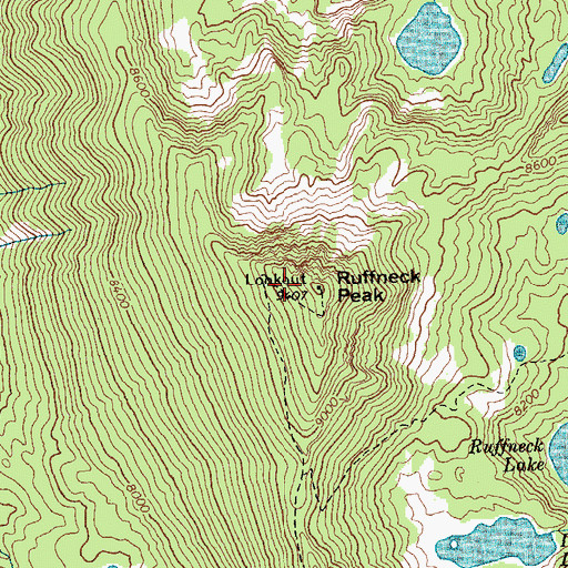 Topographic Map of Ruffneck Peak, ID