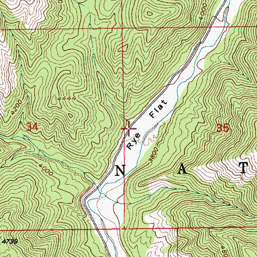 Topographic Map of Rye Flat, ID