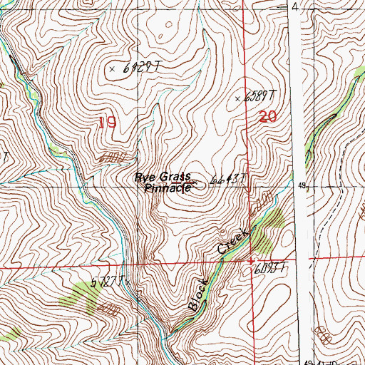 Topographic Map of Rye Grass Pinnacle, ID
