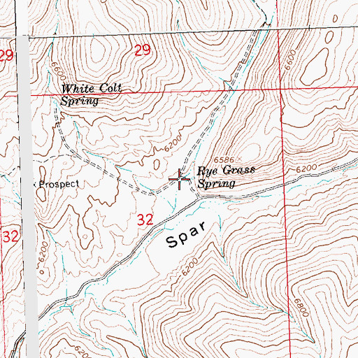 Topographic Map of Rye Grass Spring, ID