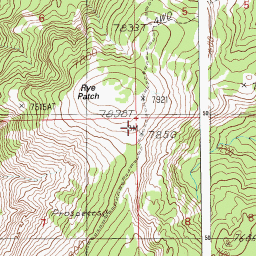 Topographic Map of Rye Patch, ID