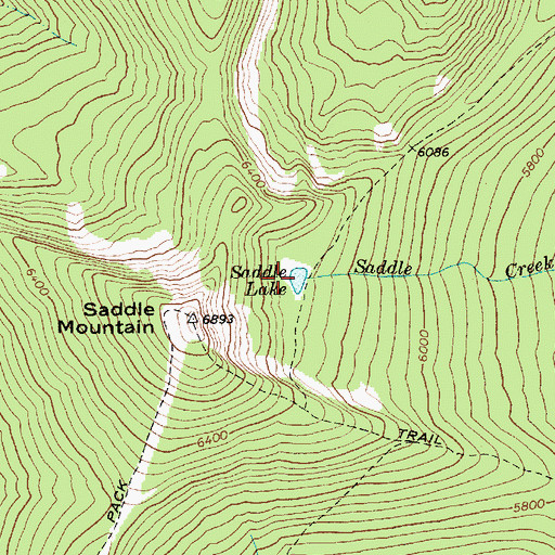 Topographic Map of Saddle Lake, ID
