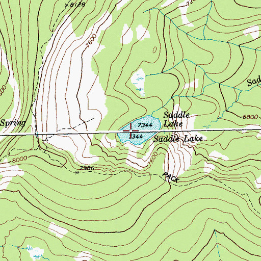 Topographic Map of Saddle Lake, ID
