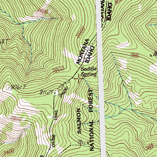 Topographic Map of Saddle Spring, ID