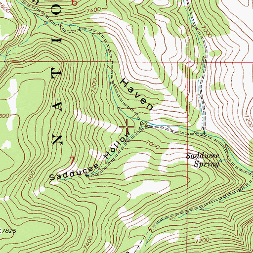 Topographic Map of Sadducee Hollow, ID