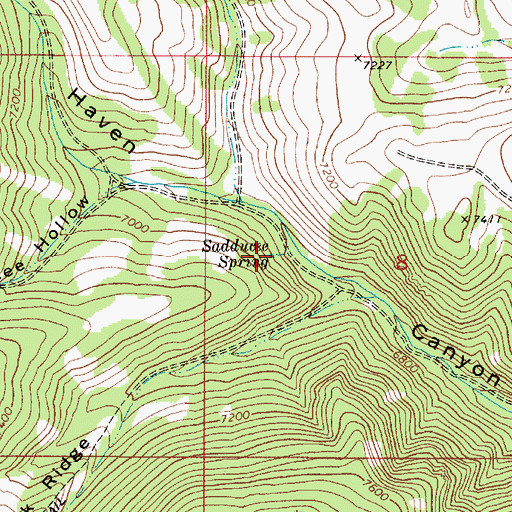 Topographic Map of Sadducee Spring, ID