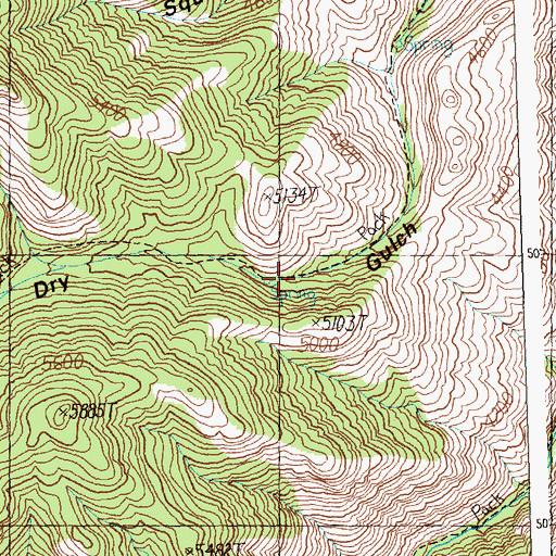 Topographic Map of Sagebrush Lookout Trail, ID