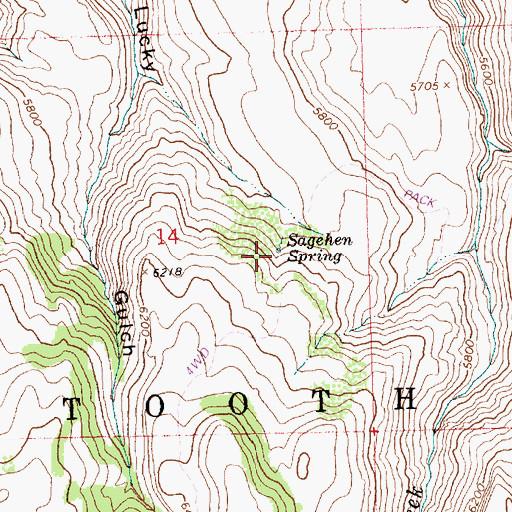 Topographic Map of Sagehen Spring, ID