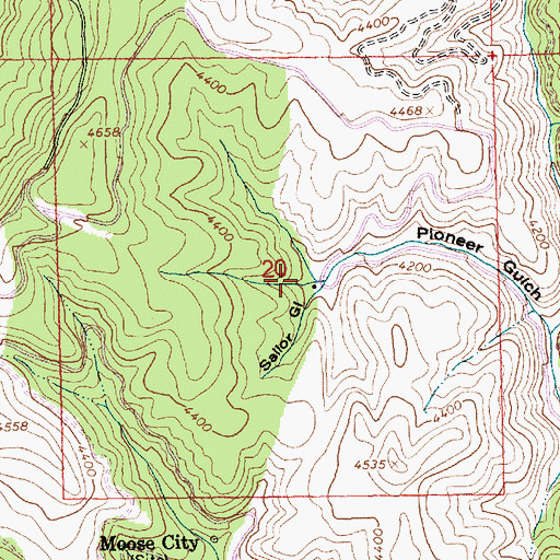 Topographic Map of Sailor Gulch, ID