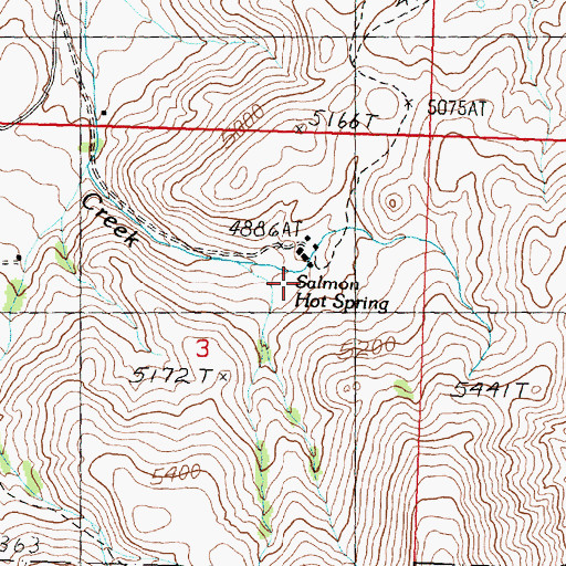Topographic Map of Salmon Hot Spring, ID