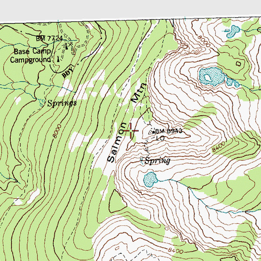Topographic Map of Salmon Mountain, ID