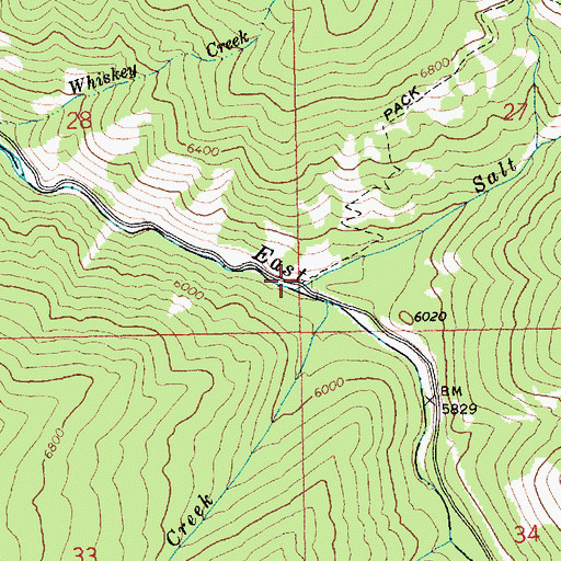 Topographic Map of Salt Creek, ID