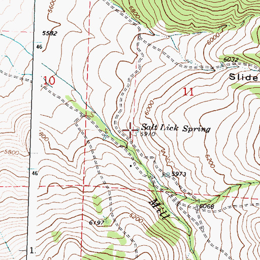Topographic Map of Salt Lick Spring, ID