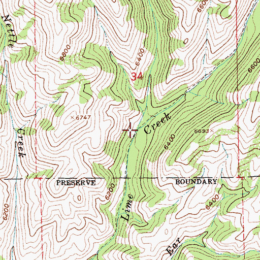 Topographic Map of Salt Log Creek, ID